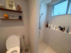 Blk 253 Bangkit Road (Bukit Panjang), HDB Executive #497676111